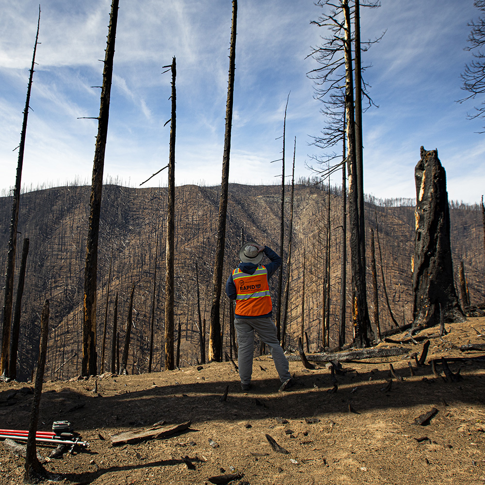 UW researcher surveys the aftermath of a wildfire